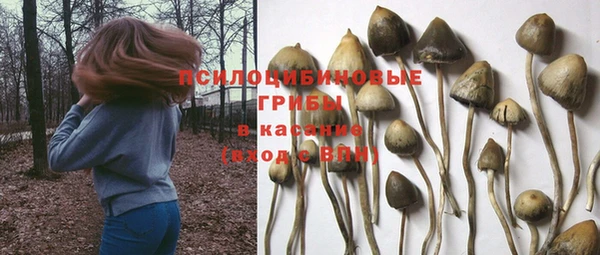 гидропоника Абаза