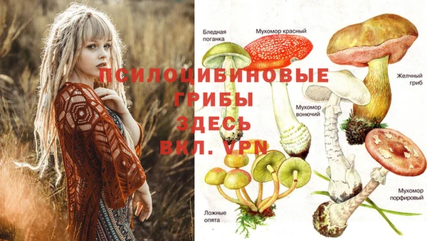 mdpv Абинск