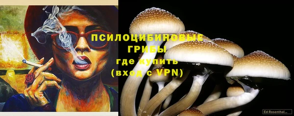 гидропоника Абаза