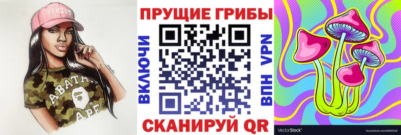 Псилоцибиновые грибы мухоморы  mega вход  Александров 