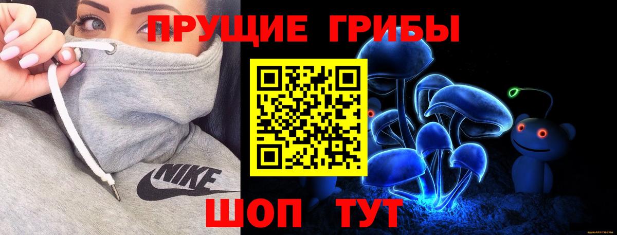 Галлюциногенные грибы Cubensis  Вход с VPN  Александров 