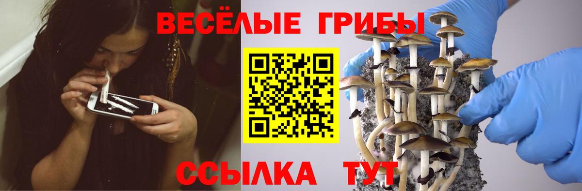 Галлюциногенные грибы GOLDEN TEACHER Александров